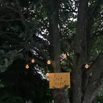منزل ريفي Matrai Kishaz