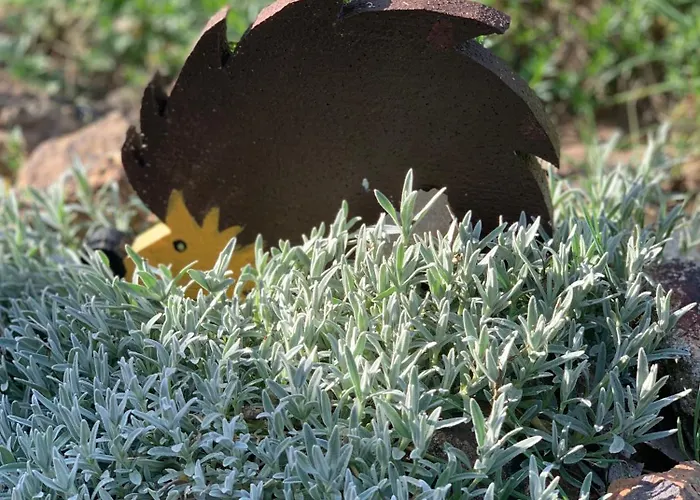 Country house Matrai Kishaz Matraszentimre