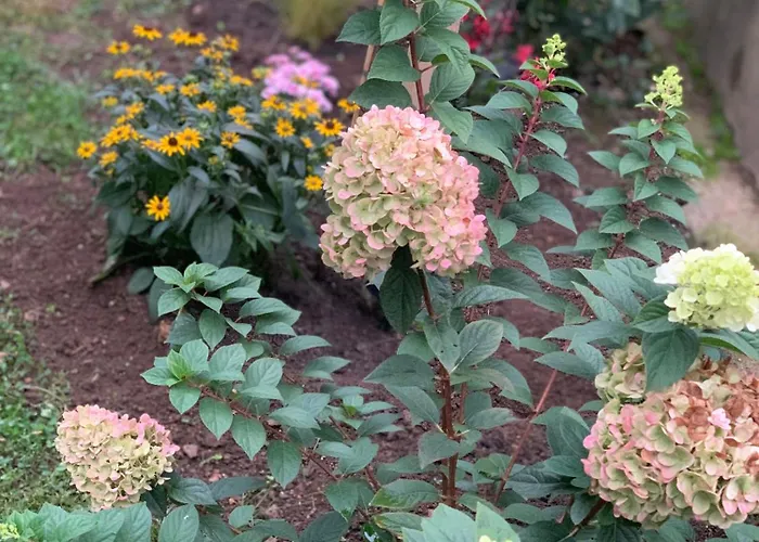 Country house Matrai Kishaz *