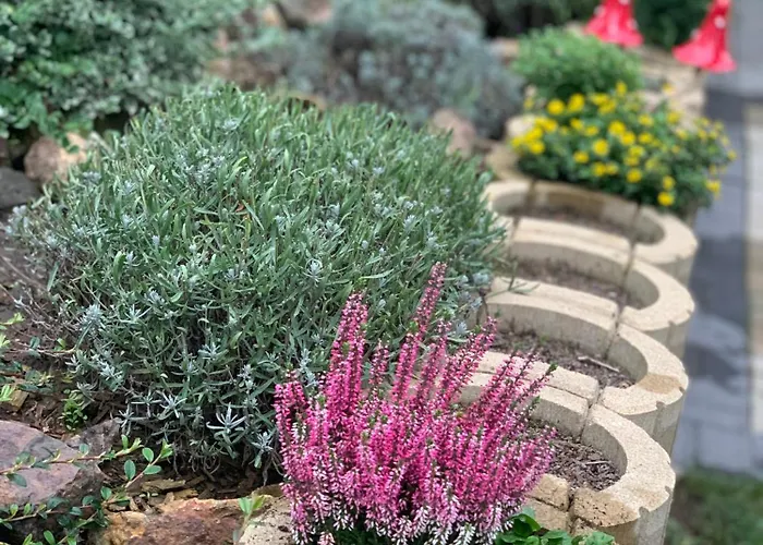 Matrai Kishaz Country house Matraszentimre