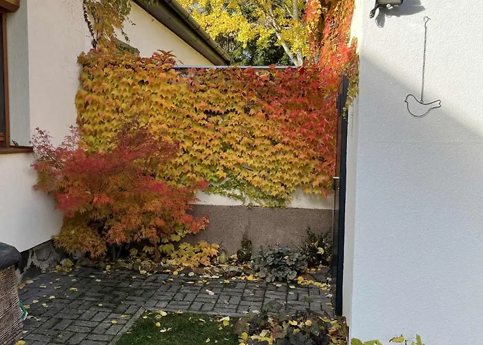 Matrai Kishaz * Mátraszentimre